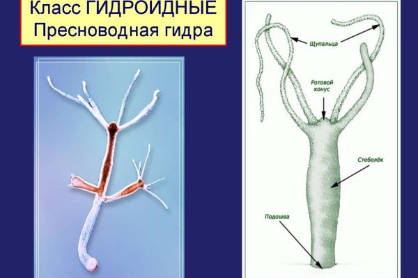 Кракен наркокортель